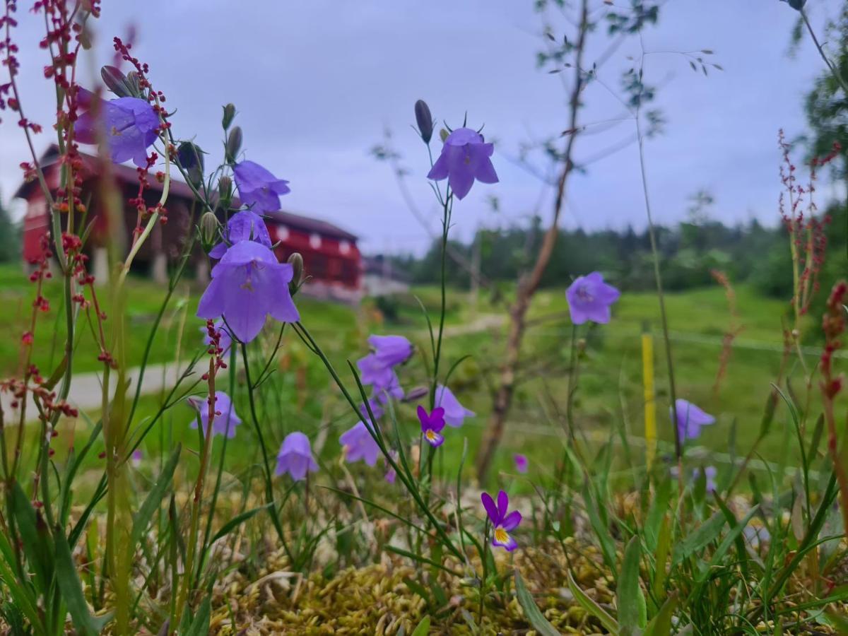 Sjoaasen Hytte Tuddal Bagian luar foto