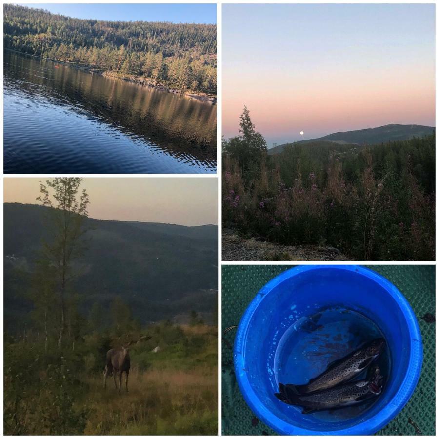 Sjoaasen Hytte Tuddal Bagian luar foto