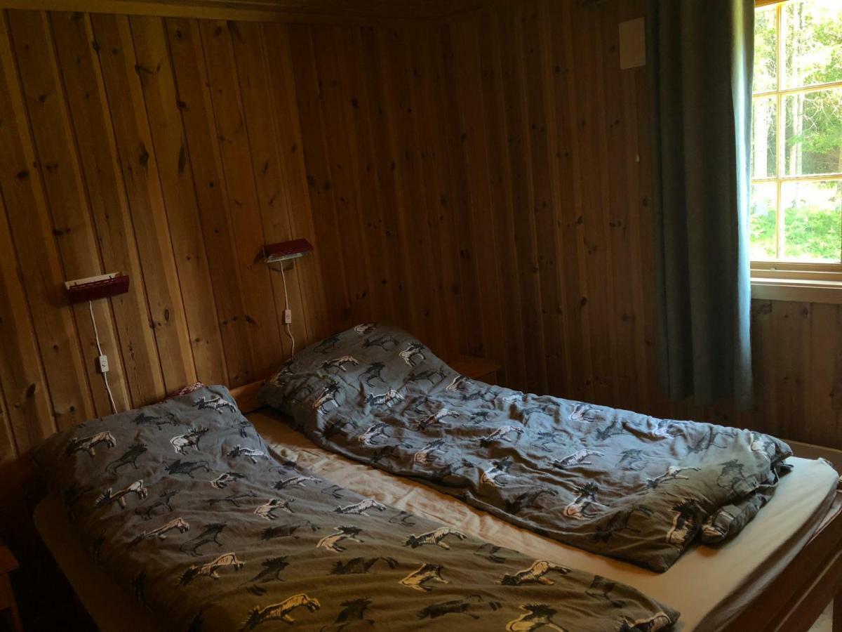 Sjoaasen Hytte Tuddal Bagian luar foto